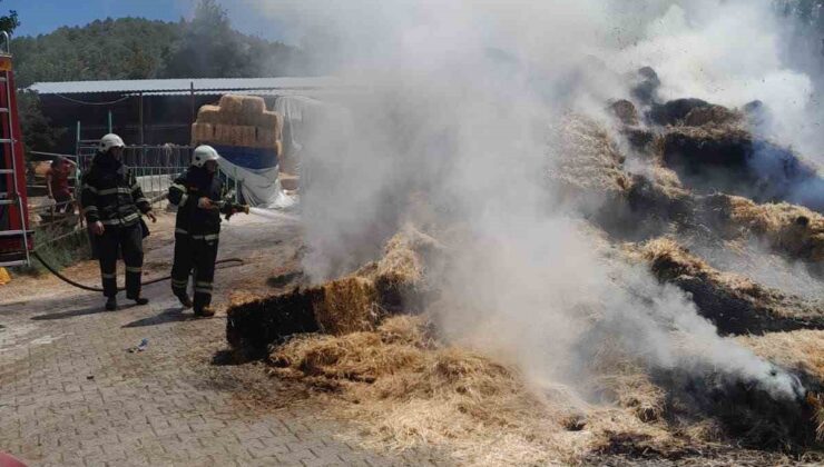 Burdur’da çıkan yangında 250 saman balyası kül oldu