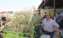 Büyükşehir’den 19 ilçeye 40 bin zeytin fidanı desteği