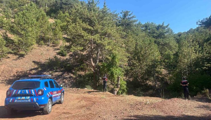 Eğirdir’de ormanlık alanlarda sıkı denetim