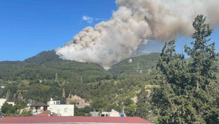 Hatay’da orman yangını