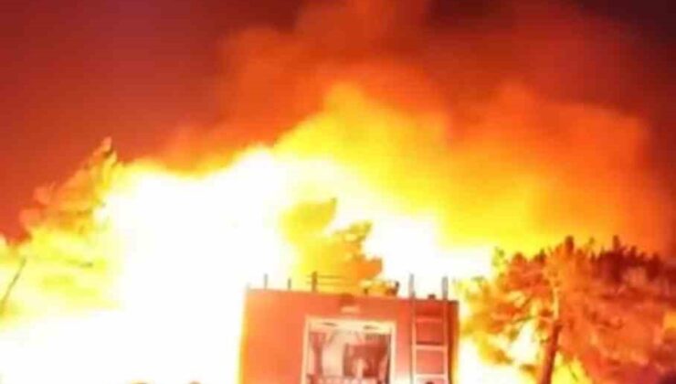 Hatay’da orman yangını