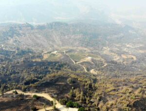 Kahramanmaraş’ta orman yangınına müdahale 3’üncü gününde de sürüyor