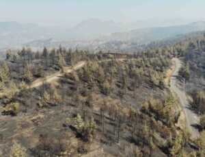 Kahramanmaraş’ta yangın sonrası küle dönen ormanlık alan dronla görüntülendi