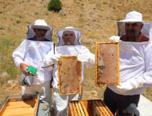 Kahramanmaraş’taki Engizek Yaylası’nda bal mesaisi