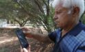 Kemer sahilinde asılsız dev köpekbalığı paylaşımına suç duyurusu