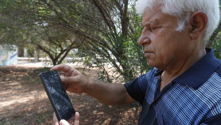 Kemer sahilinde asılsız dev köpekbalığı paylaşımına suç duyurusu