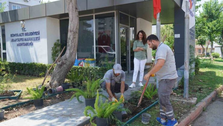 Konyaaltı’nda muhtarlık binaları çiçeklendiriliyor