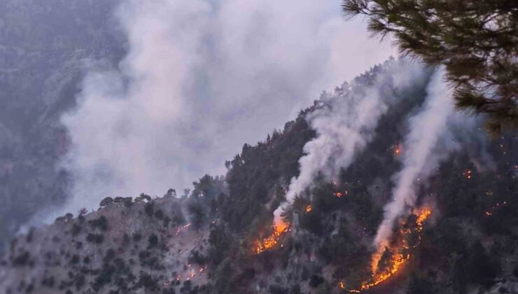 Kozan’daki orman yangını kısmen kontrol altında