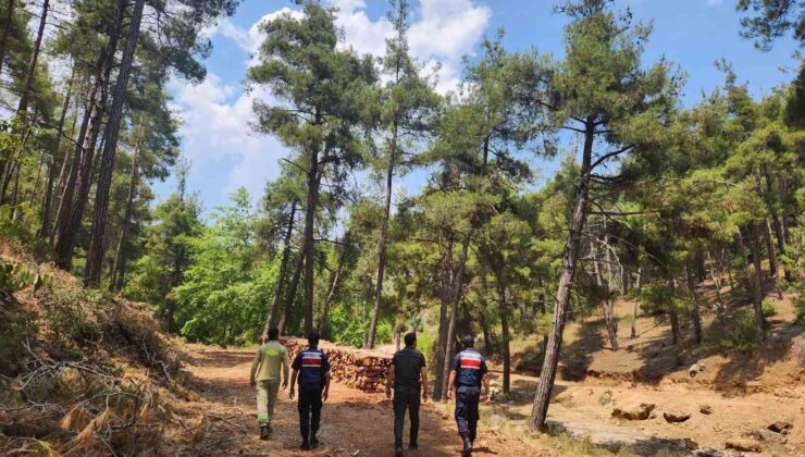 Mersin jandarmasından ormanlara sıkı koruma