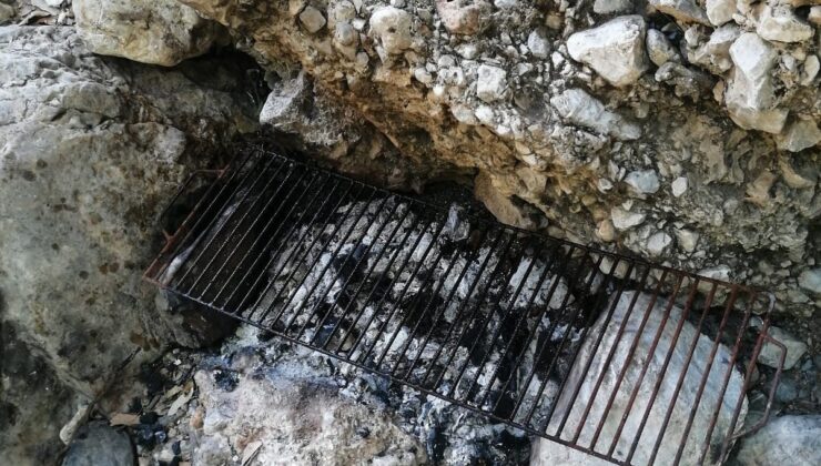 Mersin’de ormanda piknik yapan 5 kişiye ceza