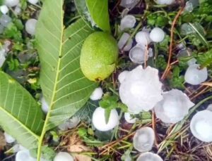 Mersin’de şiddetli dolu yağışı etkili oldu