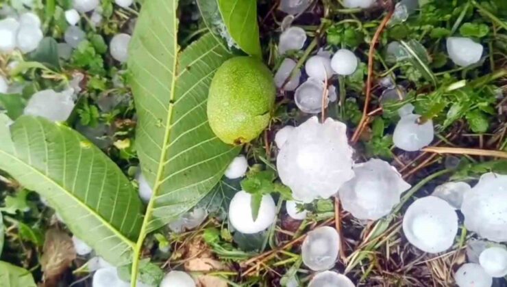 Mersin’de şiddetli dolu yağışı etkili oldu