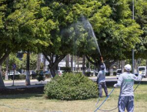 Mersin’de yaz boyunca kesintisiz ilaçlama