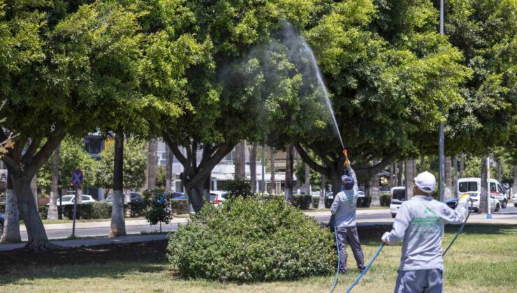 Mersin’de yaz boyunca kesintisiz ilaçlama