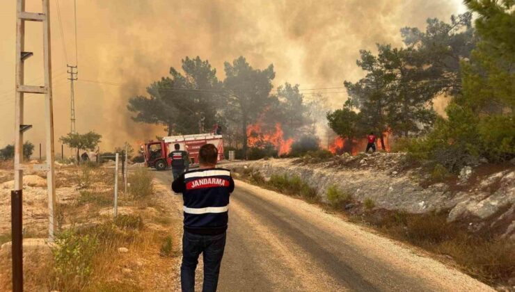 Mersin’deki orman yangınında jandarma ekipleri aktif rol aldı