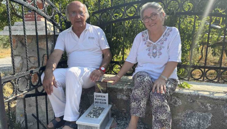 Ölen muhabbet kuşu için mermerden mezar yapıp gömdüler