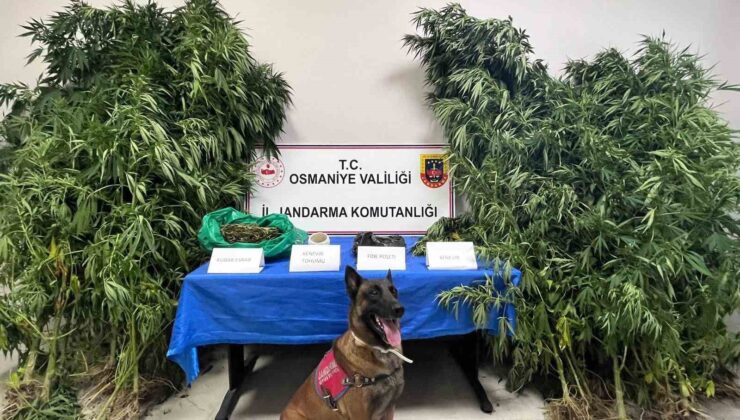 Osmaniye’de 1 haftada 105 şüpheli yakalandı