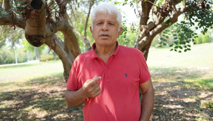 Profesörden denizlerin akciğerleri ’deniz çayırı’ uyarısı