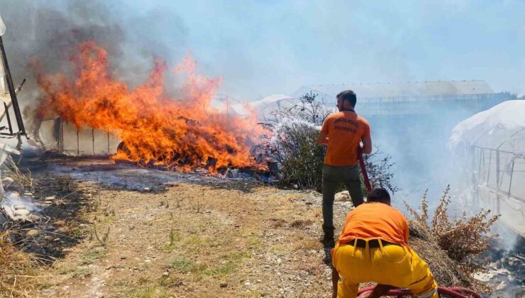 Serik’te çalılıklarda başlayan yangın 2 seraya zarar verdi