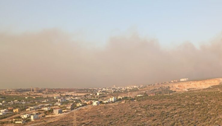 Silifke’de orman yangını