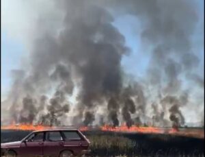 Traktörün kepçesinin elektrik tellerine temas etmesi ile çıkan yangında 50 dönüm arazi yandı