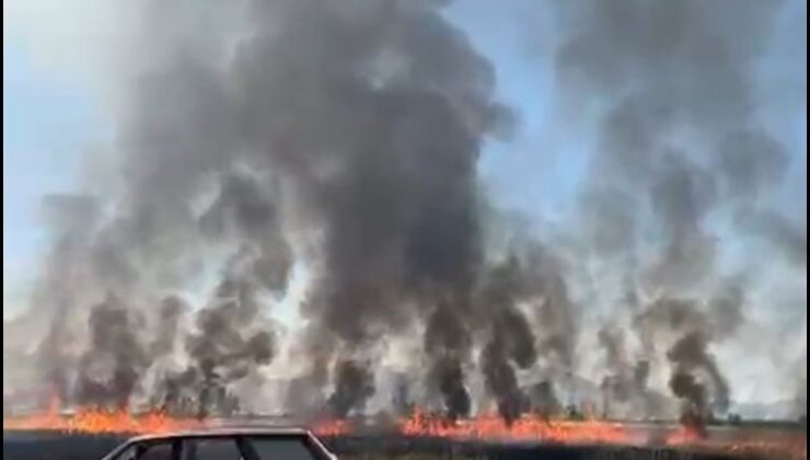 Traktörün kepçesinin elektrik tellerine temas etmesi ile çıkan yangında 50 dönüm arazi yandı