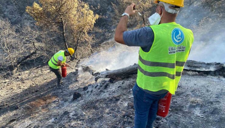 Ülkü Ocakları, Hatay’da yangınla mücadelede vatandaşların yanında oldu