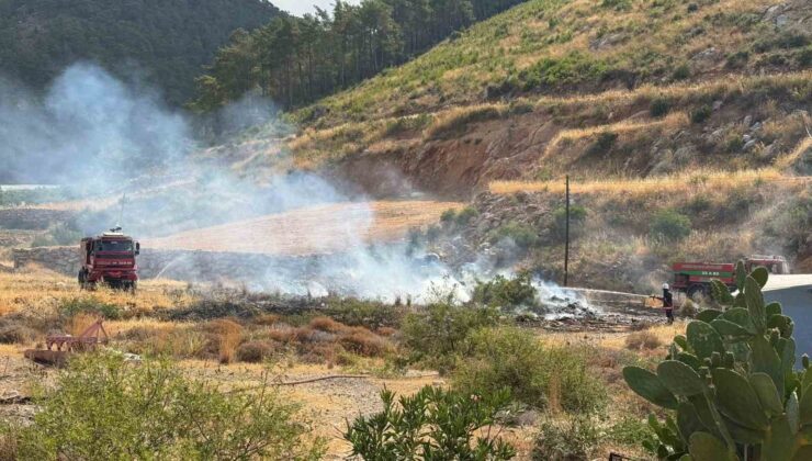 Yangın ormana sıçramadan söndürüldü